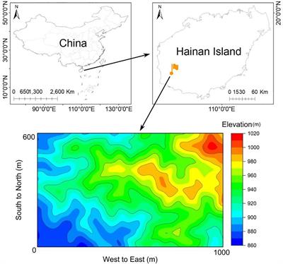 Assessing the functional vulnerability of woody plant communities within a large scale tropical rainforest dynamics plot